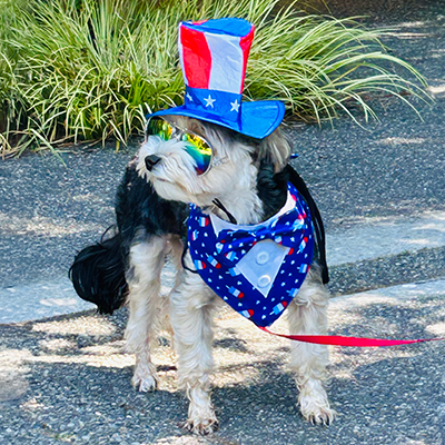 petparade